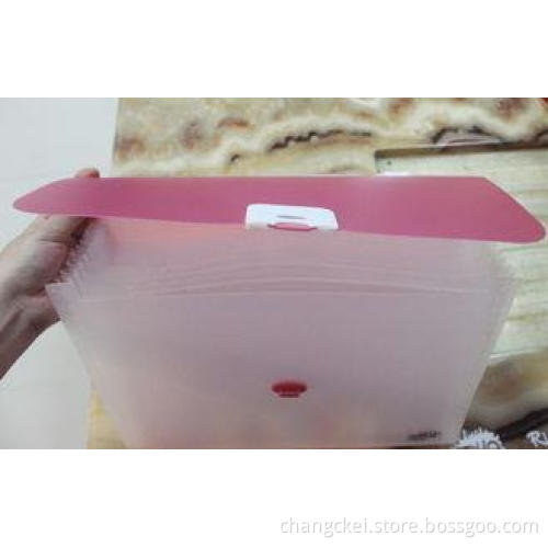 Translucent PP File Folder / plastic letter size documents